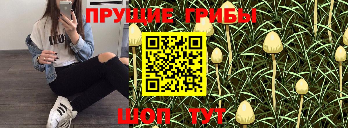 Псилоцибиновые грибы Psilocybine cubensis  Вход с VPN  Галлюциногенные грибы мухоморы  Элиста 