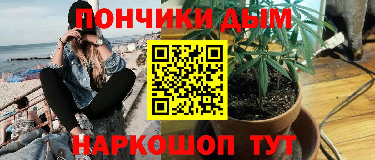 Элиста  Бошки марихуана LSD WEED  Вход с VPN  Марихуана ГИДРОПОН 
